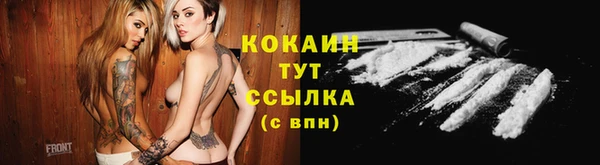 мяу мяу мука Алзамай