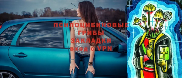 мяу мяу мука Алзамай
